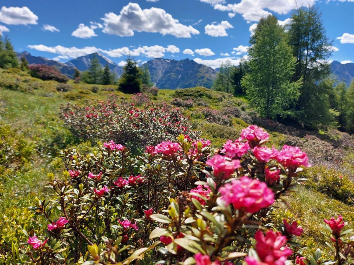 Haus Edelweiss Spiss Bei Samnaun Kültér fotó