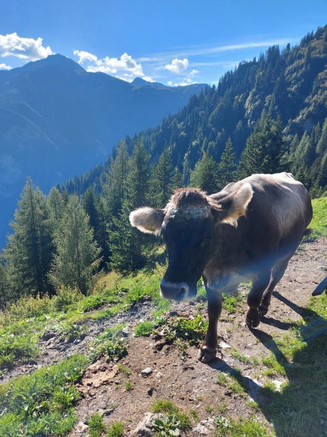Haus Edelweiss Spiss Bei Samnaun Kültér fotó